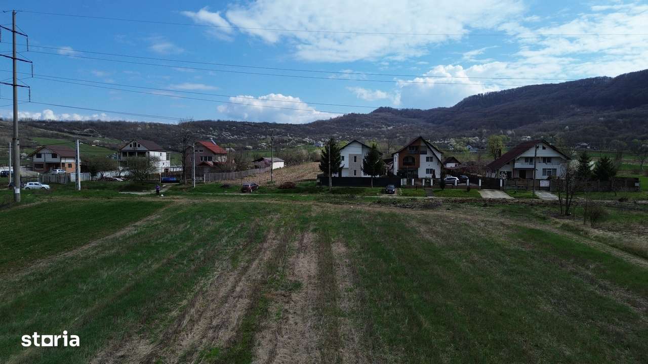 Teren / Jiblea Noua / Calimanesti /-3