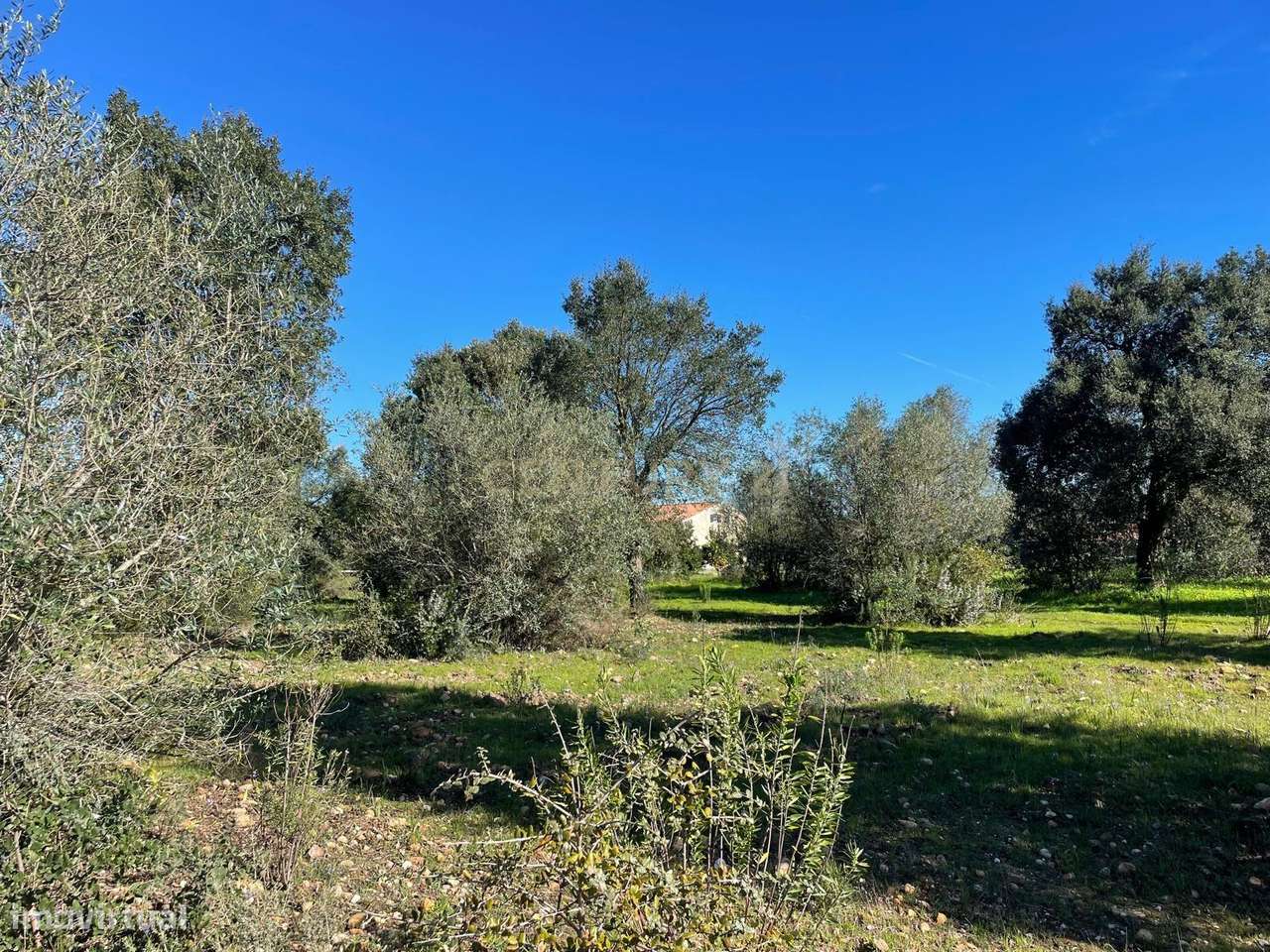 Terreno em Martinchel, Abrantes - Grande imagem: 5/13