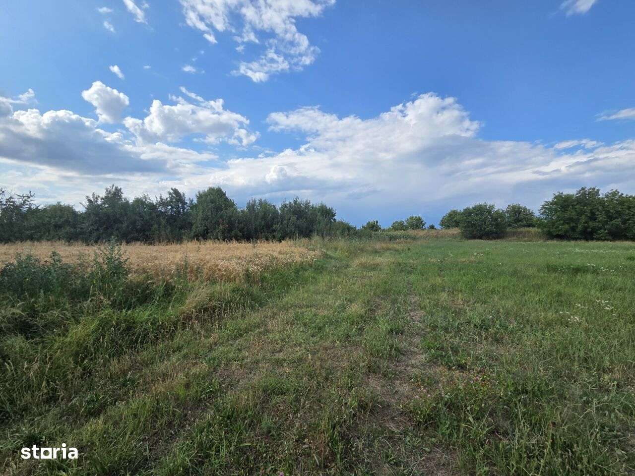 VANZARE 8000 MP. - STR. AUREL VLAICU - GAESTI - POSIBILITATE PARCELARE - Imagine principală: 5/6