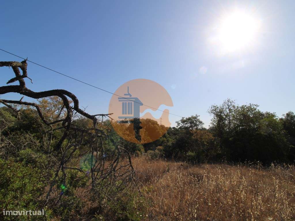 Terreno rústico com 1.600 m2 - Grande imagem: 3/11