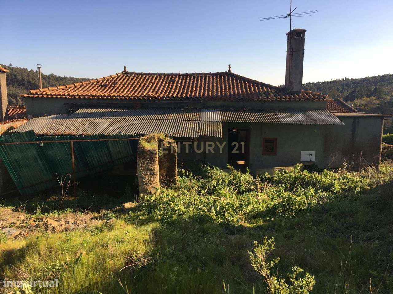 Espaçosa Moradia T5 na Moita, Anadia - Oportunidade Única! - Grande imagem: 5/22