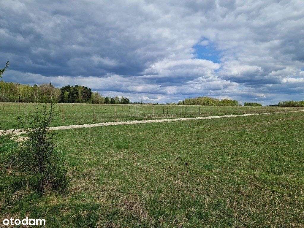 Henrykowo – Raj wśród zieleni, spokój i natura-1