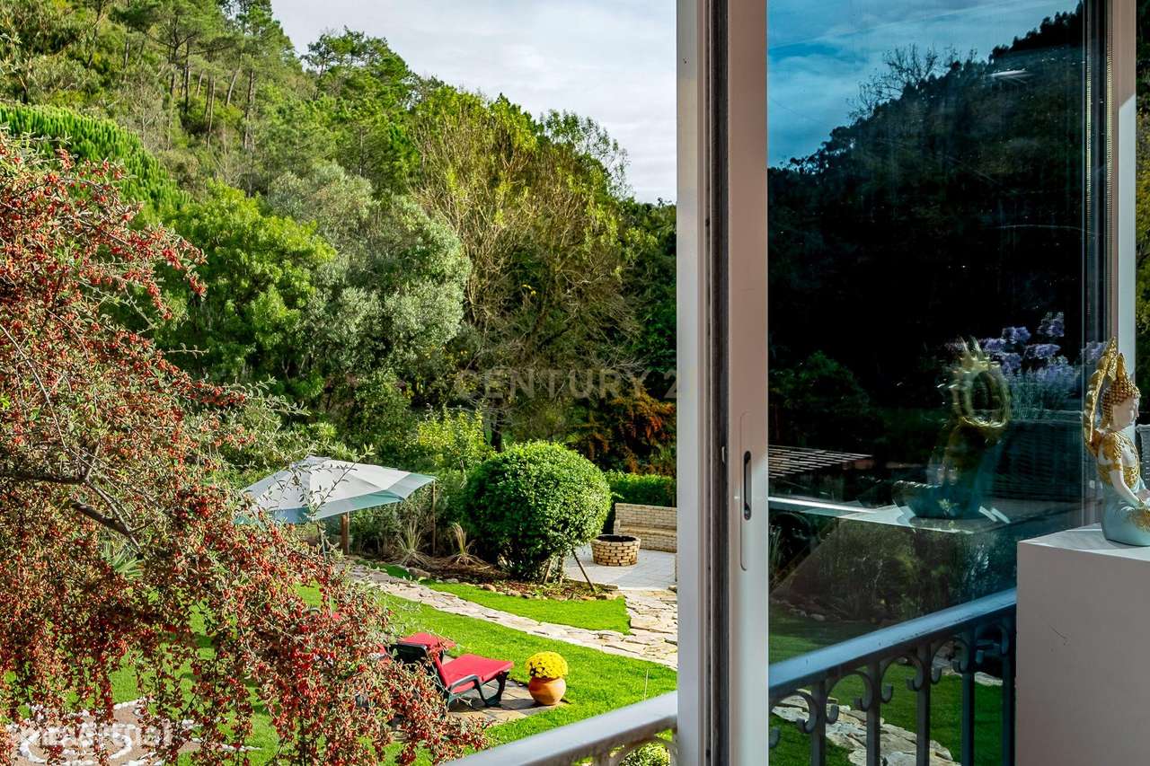 Moradia T4 com 5000m2 de Terreno - "Quinta do Sol"-11