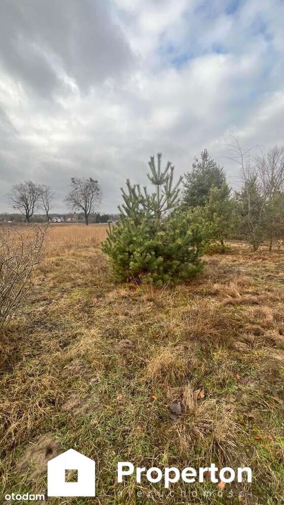 Działka blisko Kazimierza Dolnego - Pełny obrazek: 4/4