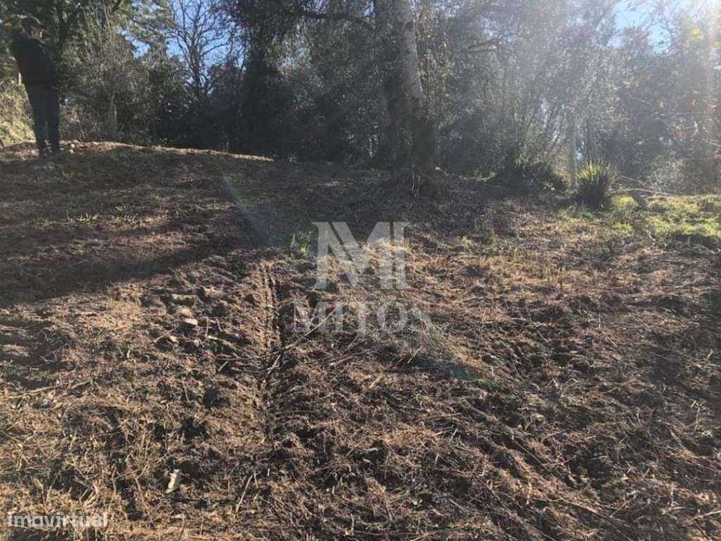 Terreno de construção, para venda, em Ponte de Lima - Grande imagem: 4/11