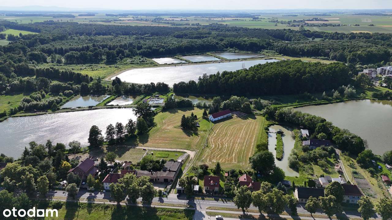 Działka budowlana nr 556/6 - 1,4 ha - Korfantów, ul. Krótka - Pełny obrazek: 1/4