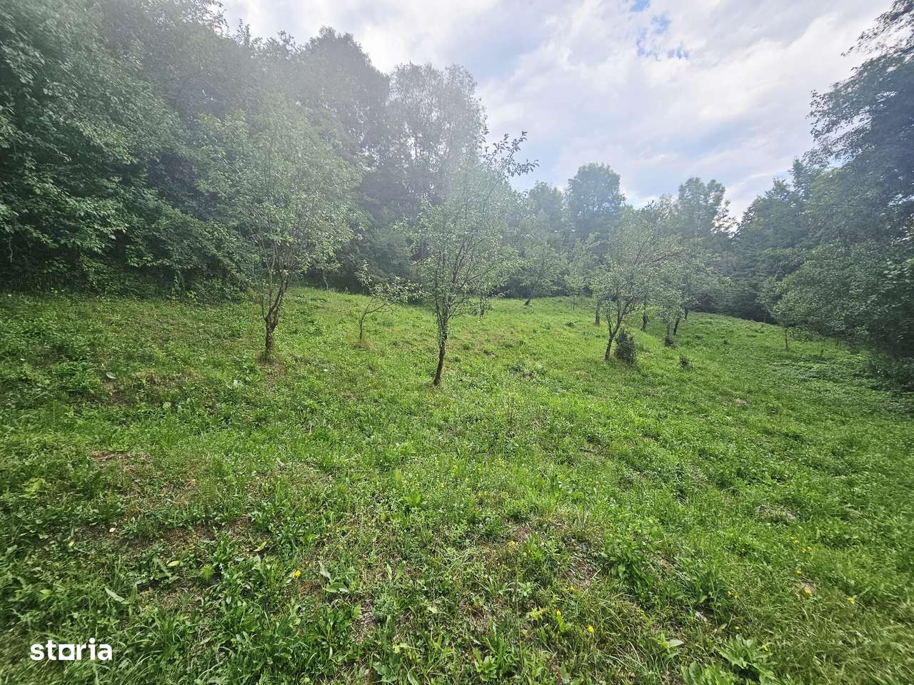 Teren intravilan de vânzare – 2.190 mp – Podu Vadului, Breaza - Imagine principală: 5/16