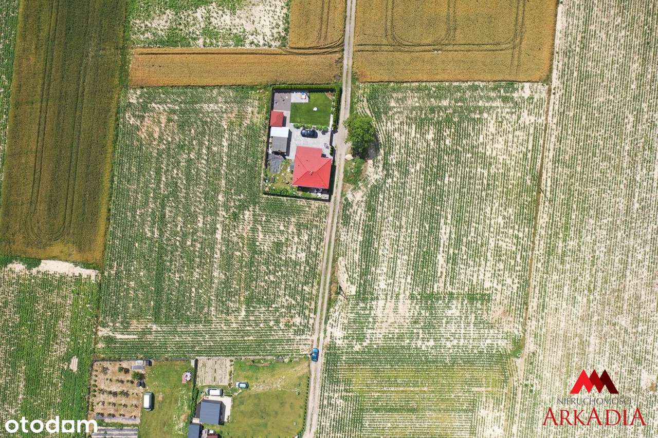 Działka budowlana 739 m² Zarzeczewo, gm. Fabianki - Pełny obrazek: 5/6