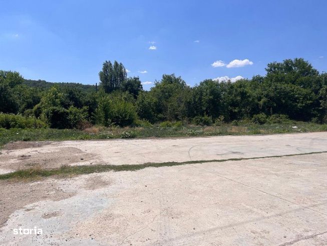 Investitie de viitor! Teren intravilan 8554 mp-Bucovat-10