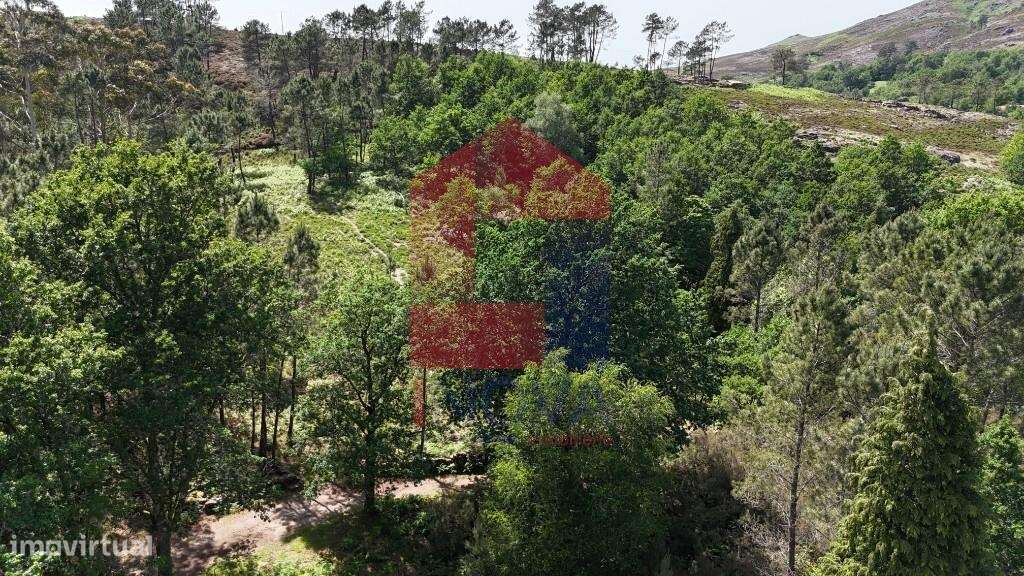 Terreno para projeto Turístico, Gerês-20