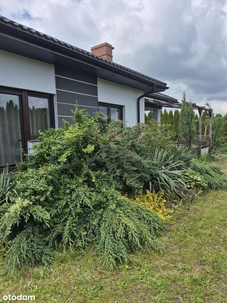 Dom, 180 m², Sierakowice - Pełny obrazek: 1/11