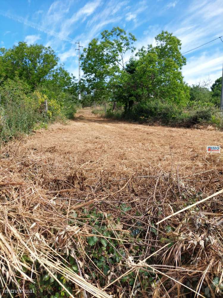 Terreno - Taliscas - Paul - Grande imagem: 5/7