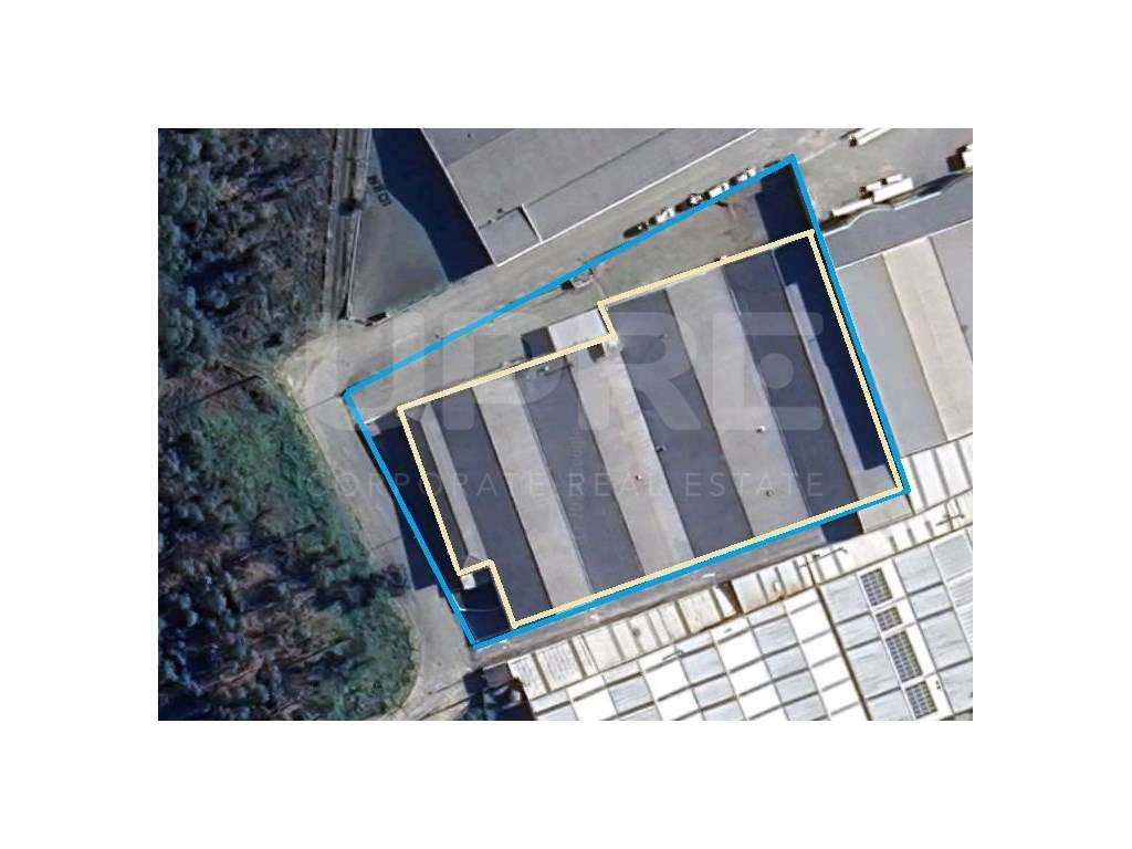 ARMAZÉM | ARRENDA | TROFA - Grande imagem: 1/8