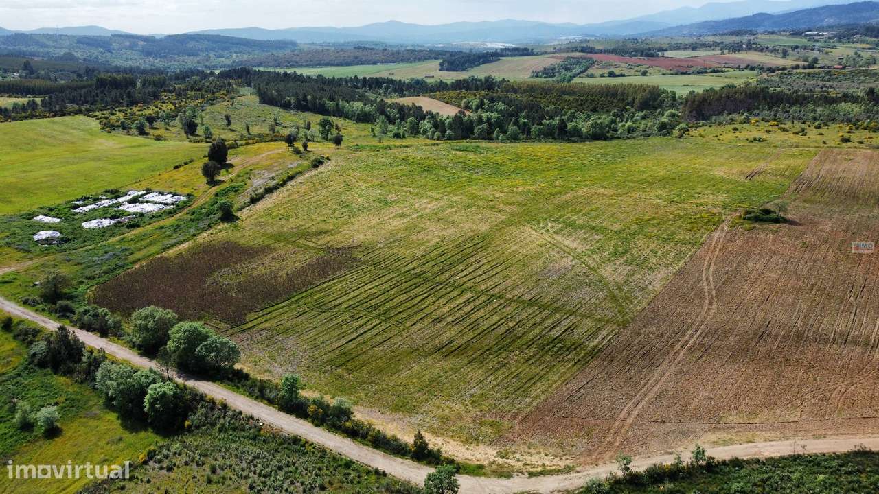 Terreno c/ Regadio - entre Fatela e Capinha - Grande imagem: 4/10