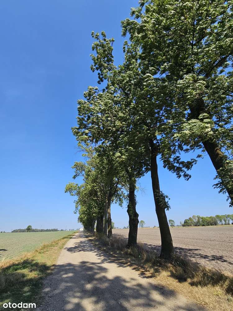 Teren 6,8 ha z zabudowaniami pod HORECA, rezydencję, produkcję-14