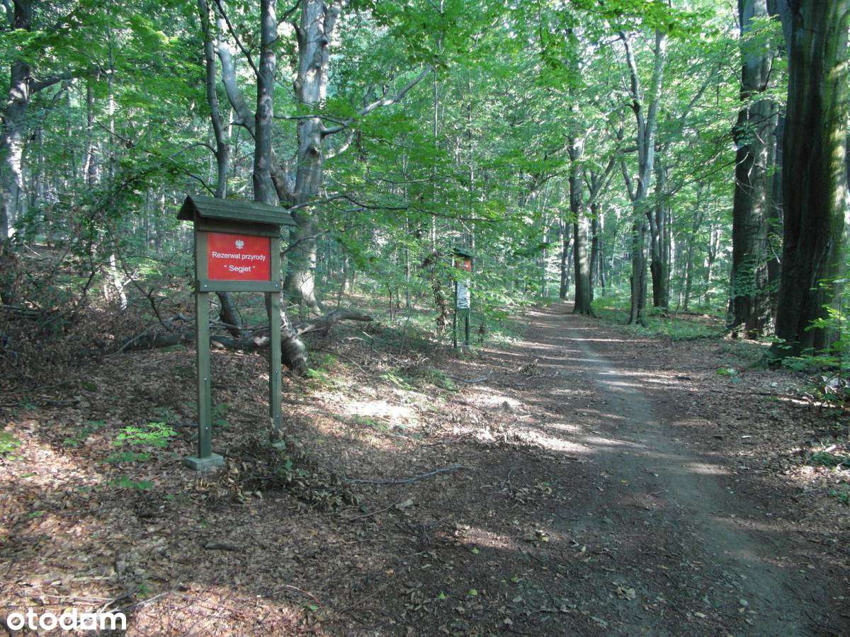 Niskie opłaty - Stroszek - Segiet - ul. Tysiąclecia - 2 pokoje-6