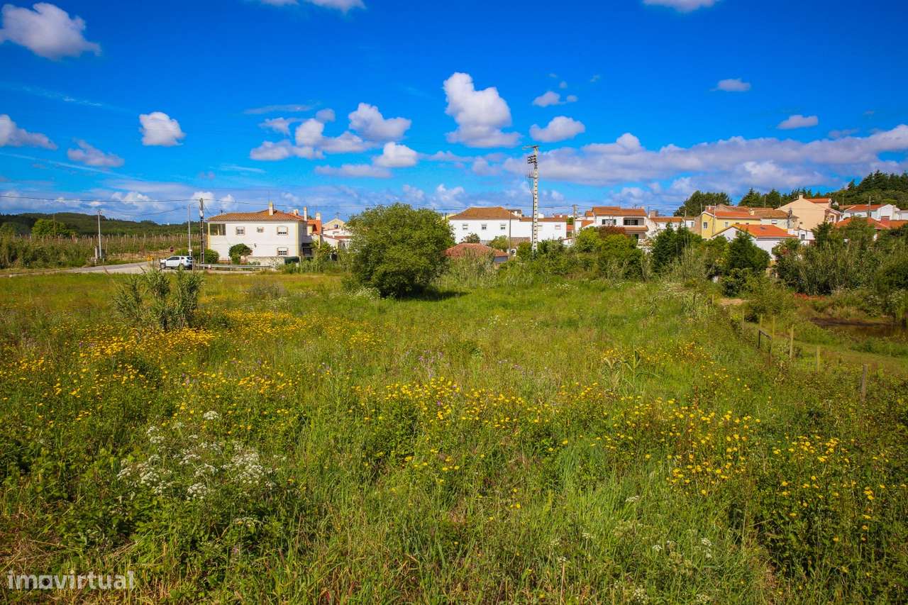 Moradia T4 isolada com logradouro de 2.200m²-37