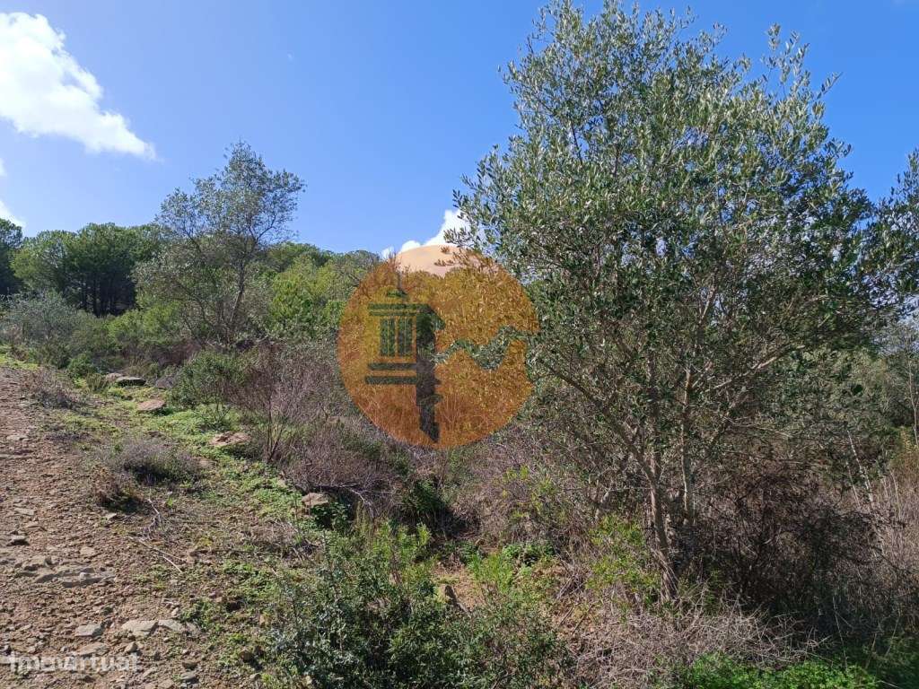 TERRENO RÚSTICO COM 13.120 M2 - TORNEIRO - ALCOUTIM - ALGARVE - Grande imagem: 5/22