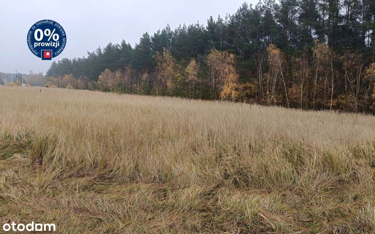 Działka, 9 m², Borki-0