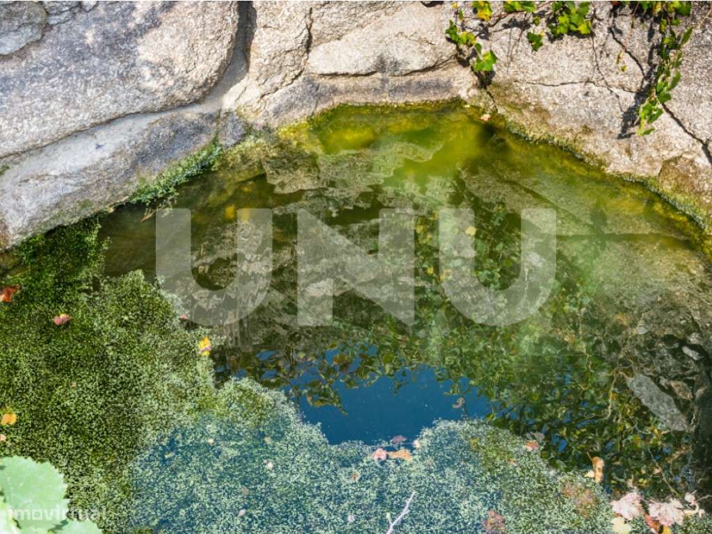 Terreno Rústico com 8900m2 para venda na Aldeia de Orca (Fundão). - Grande imagem: 5/11