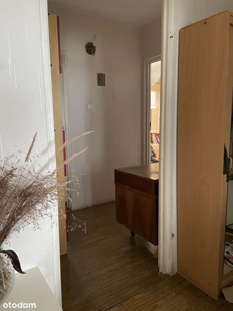 4 pokoje | 59 m² | Zazamcze | Zielona okolica | OKAZJA - Pełny obrazek: 4/11