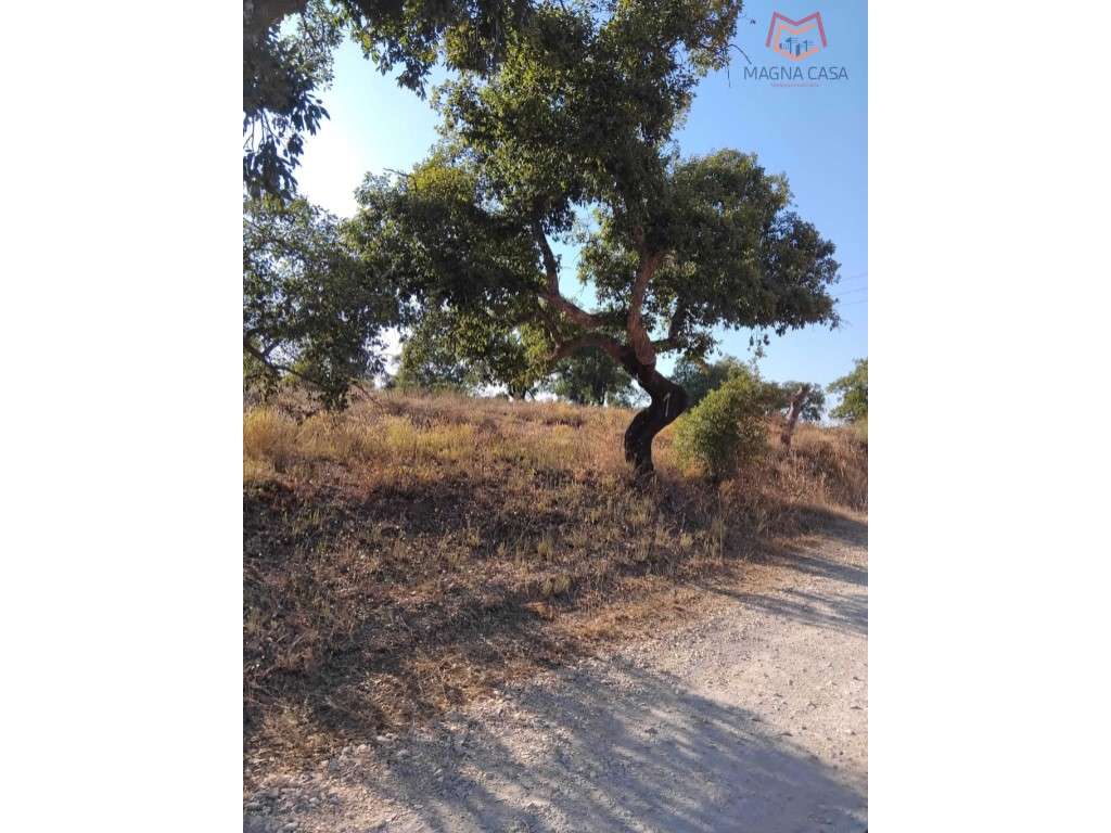 Terreno Alcantarilha, Silves, Algarve - Grande imagem: 5/6