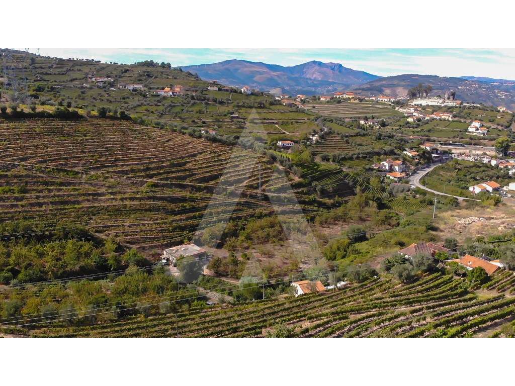 Quinta no Alto Douro - Região Demarcada do Douro - Grande imagem: 4/15