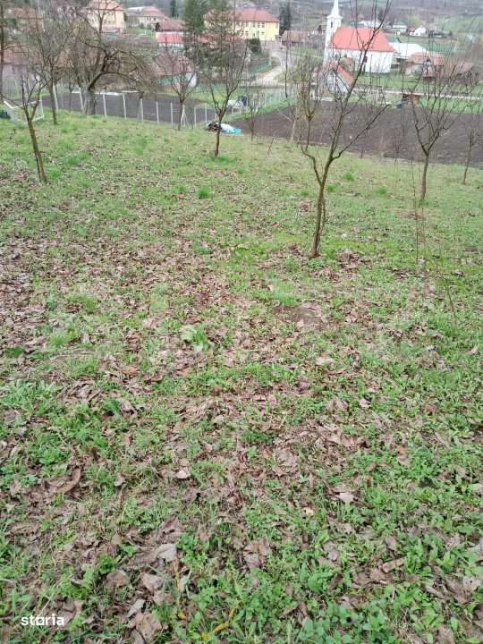 Teren intravilan de vanzare in Calarasi langa Turda! - Imagine principală: 4/7