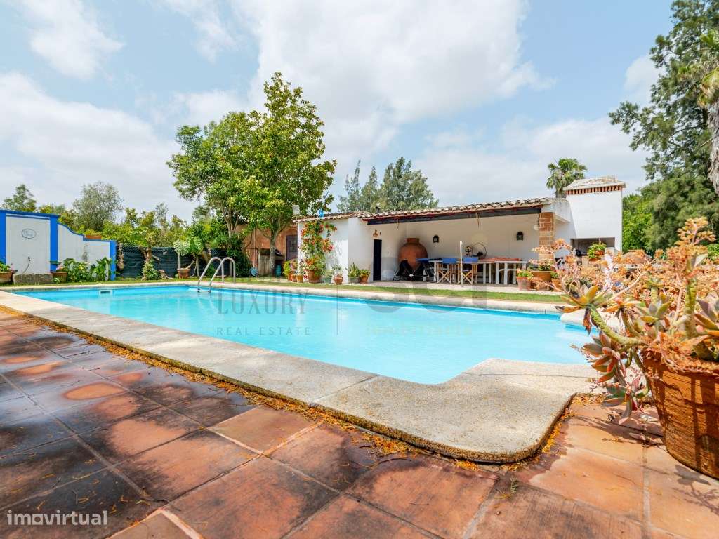 Quinta no Alentejo, Beja, com uma habitação T4 e Piscina - Grande imagem: 5/49