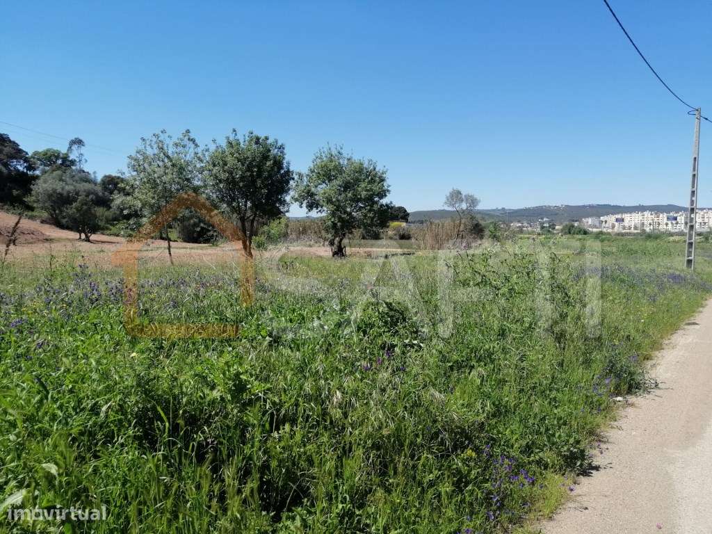 Terreno com 3500m2 em Loures - Grande imagem: 3/6