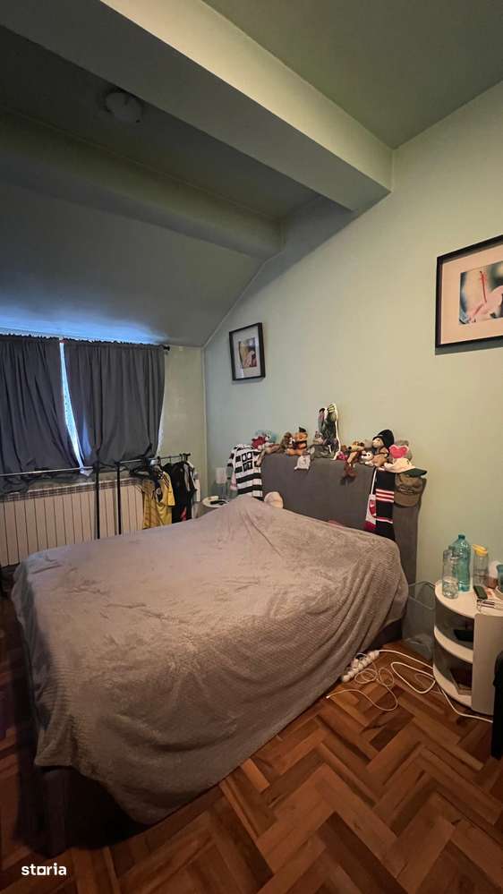 Vila Damaroaia - langa lacul Grivita-7