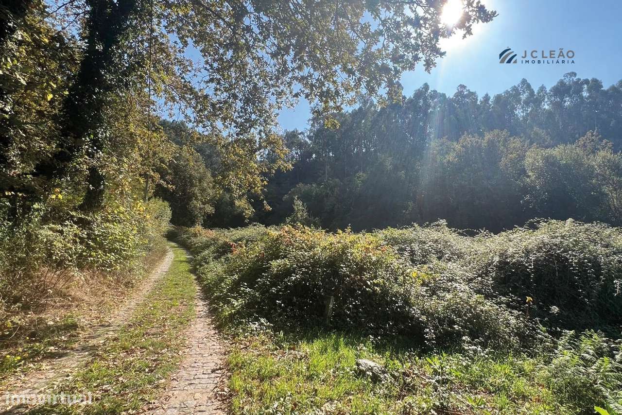 Terreno Agrícola 10.400 m² – Rebordosa, Paredes-1