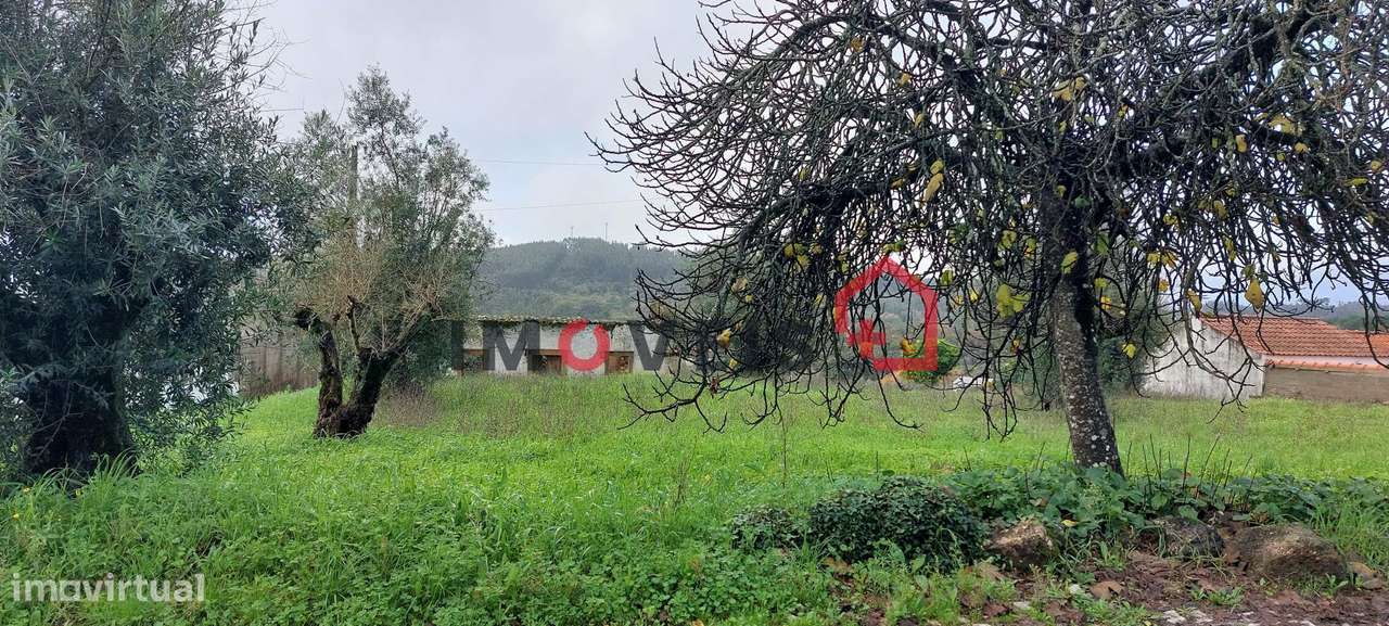 Ruína situada no Centro de Areias - Grande imagem: 2/4