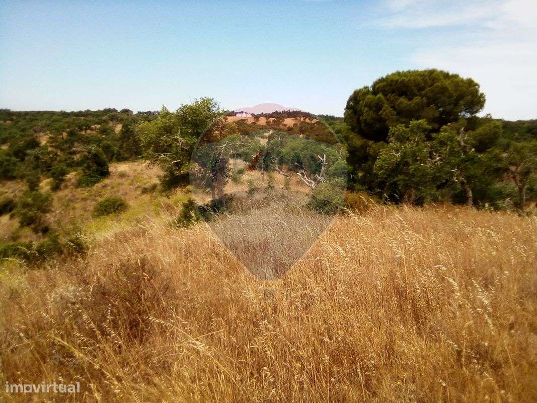 Terreno  para venda - Grande imagem: 5/11