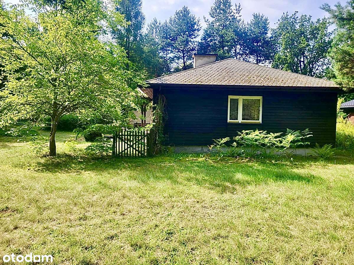 Twój zielony azyl nad wodą w Sulejowie! - Pełny obrazek: 4/17