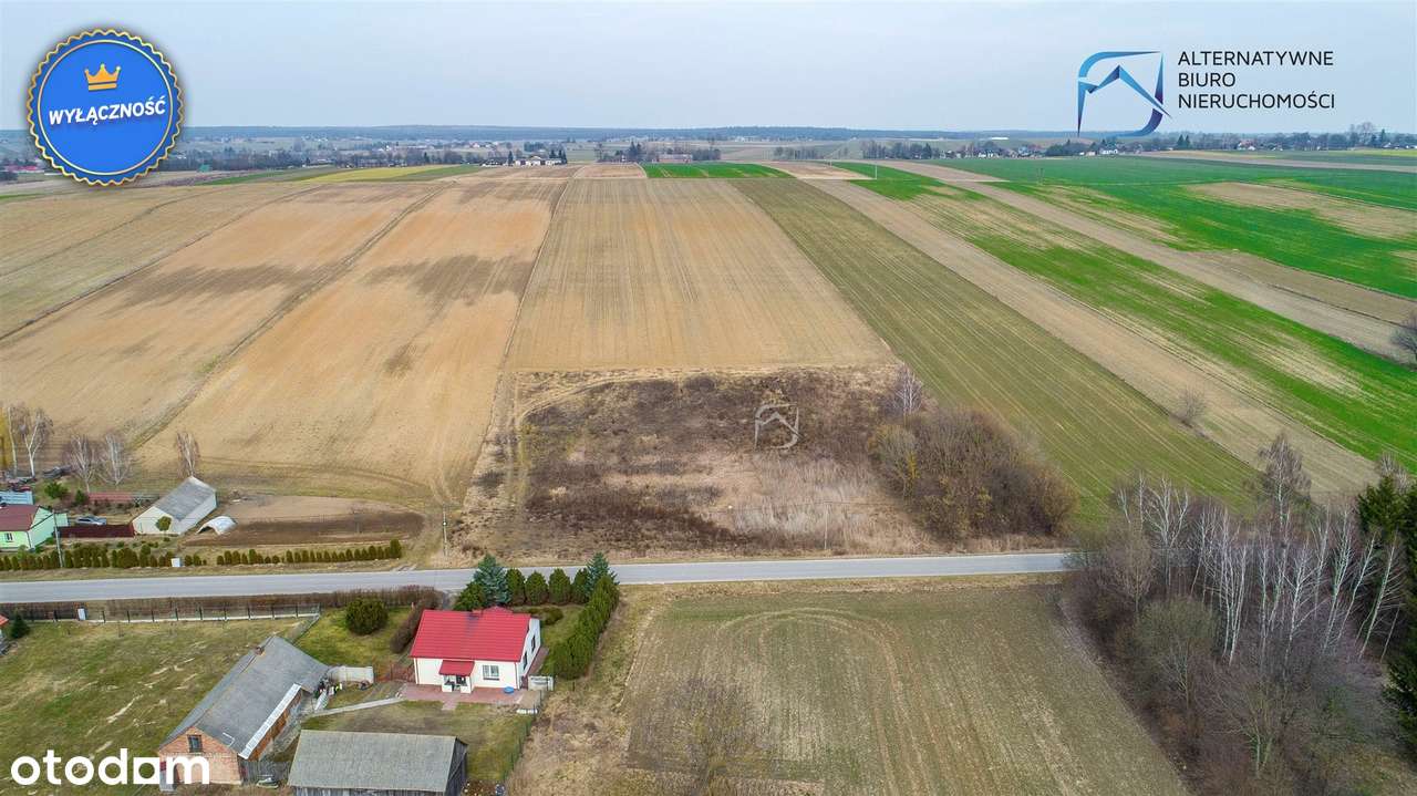 Działka budowlano-rolna Chmiel-Kolonia - Pełny obrazek: 4/16