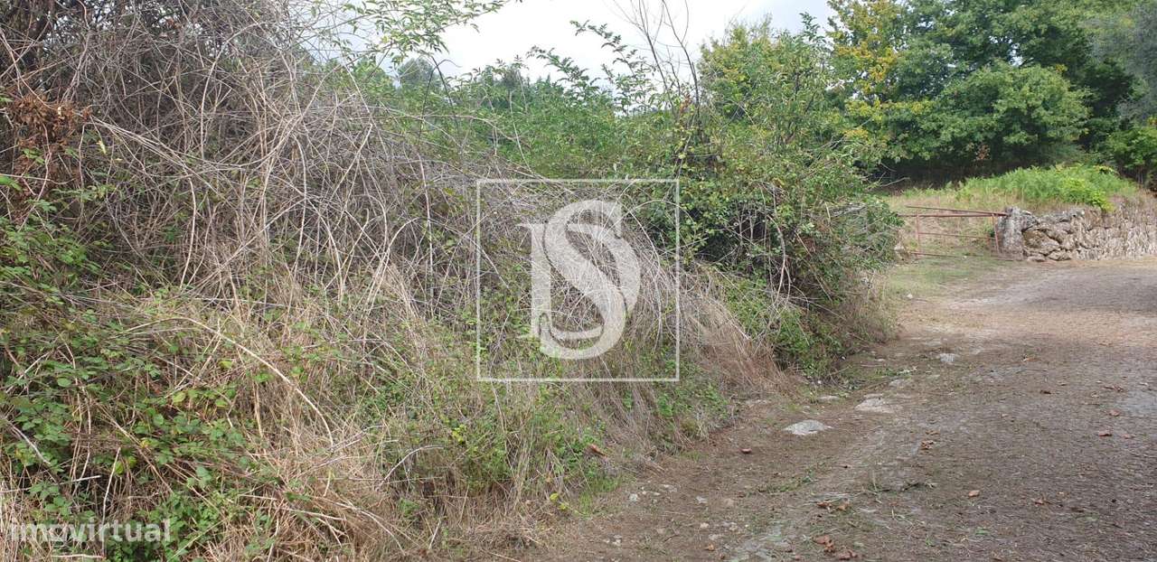 Moradia para Restaurar T3 Venda em Pinheiro,Vieira do Minho-13