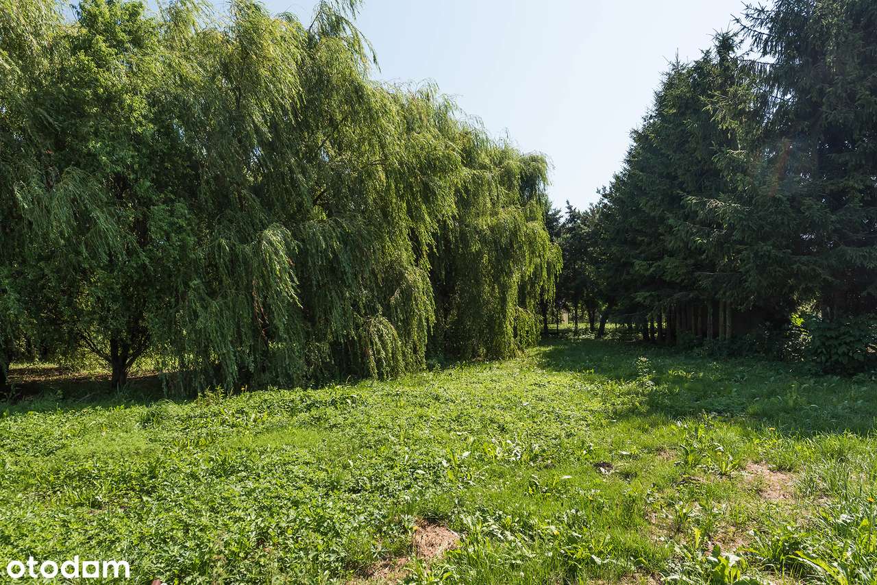 Duży, rodzinny dom na pięknej działce-13