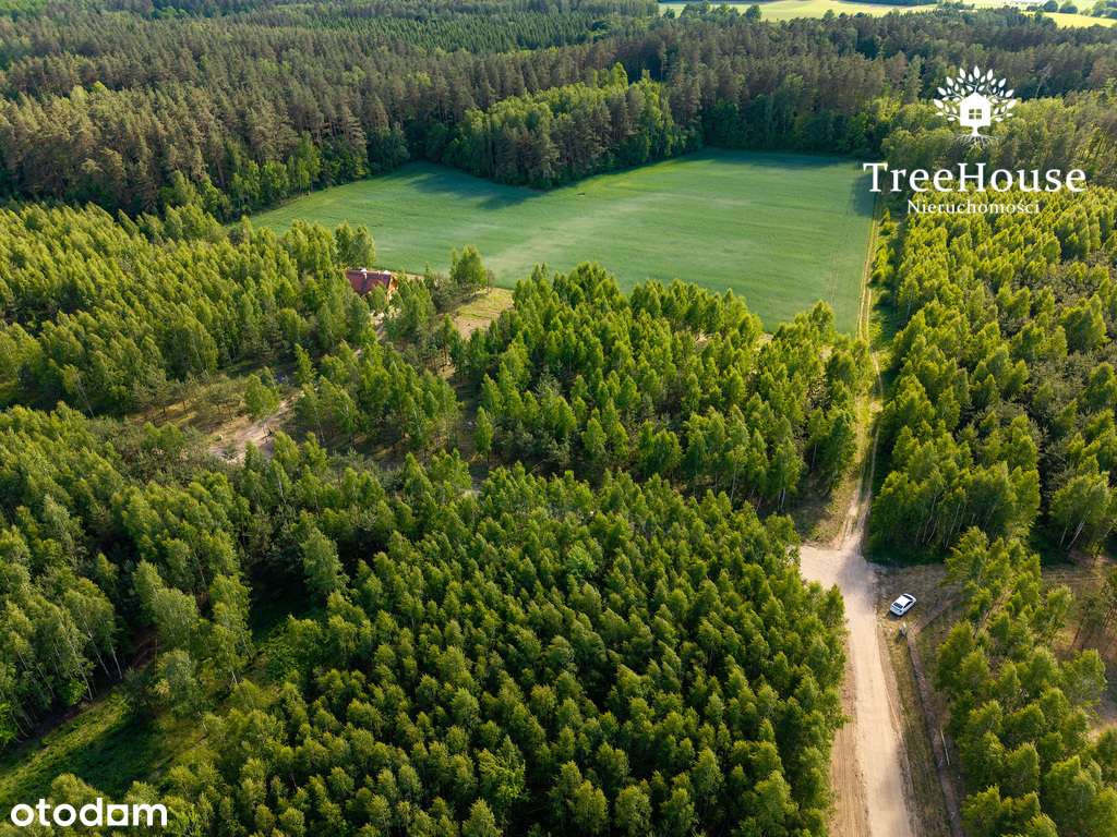 Mazury gotowy projekt las jezioro siedlisko-10