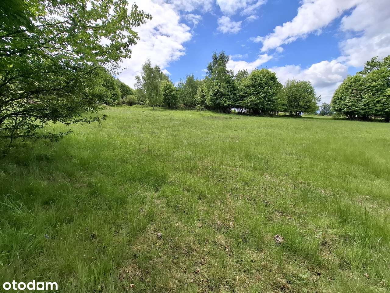 Widokowa działka w Koszarawie-9