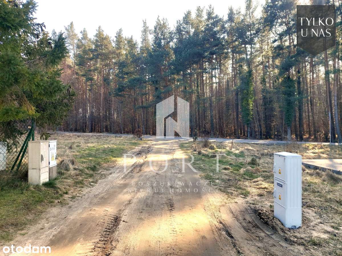 Dom letniskowy w Lubiatowie, 2 km do morza. - Pełny obrazek: 4/12