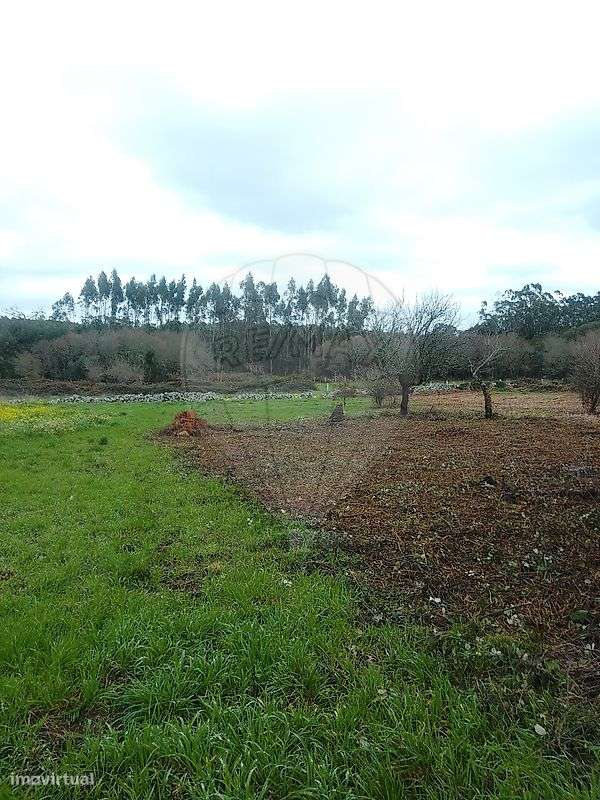 Armazém  para venda - Grande imagem: 5/11