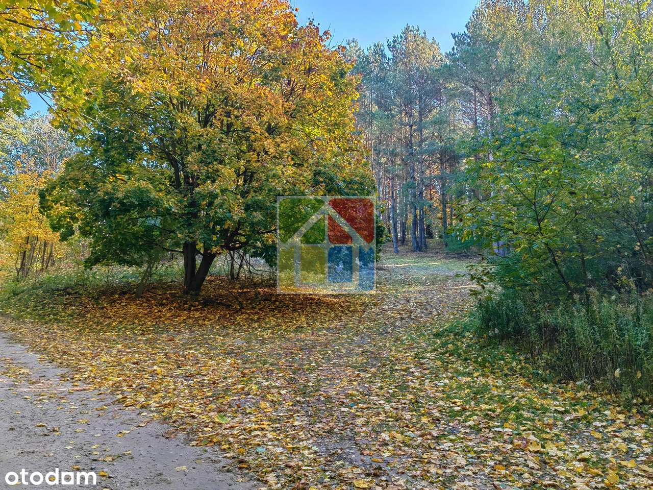 Działka pod zabudowę 30 metrów od linii brzegowej jeziora Sumino-0