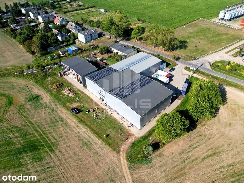 Hala magazynowo - produkcyjna - Pełny obrazek: 4/19