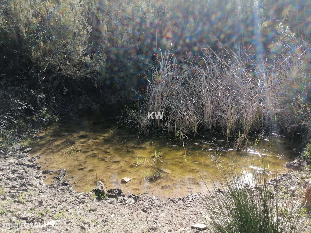 Terreno Rustico Saboia - Grande imagem: 5/9