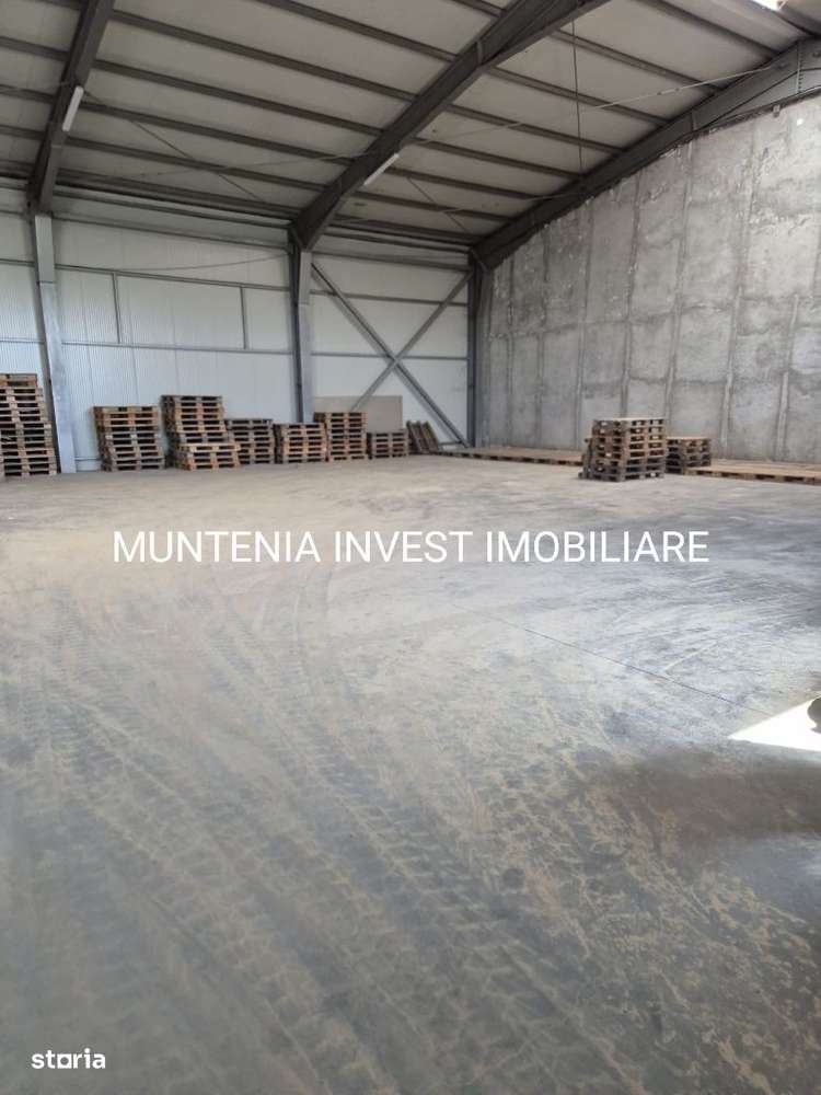 Hala 596 mp. com.Albota,DN65B. - Imagine principală: 4/6