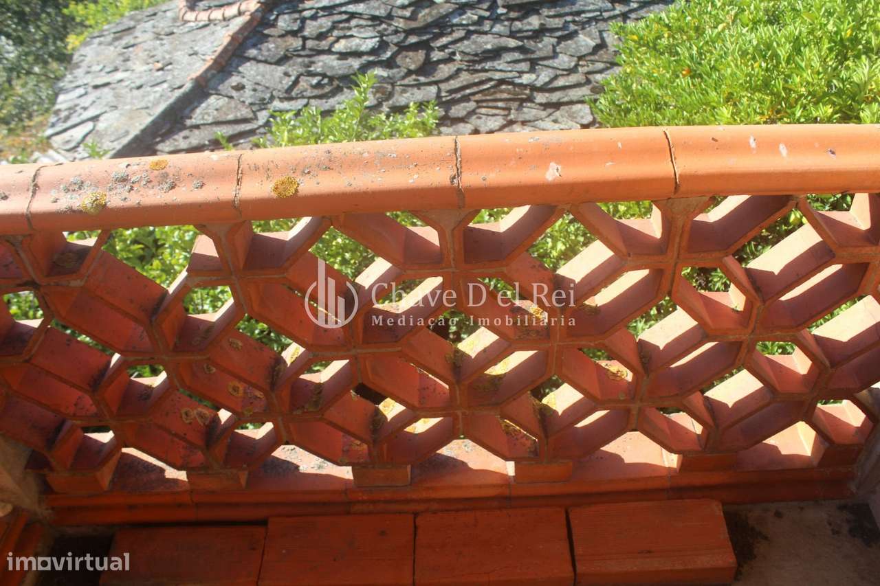 Quinta  Venda em Parada de Ester e Ester,Castro Daire - Grande imagem: 4/26