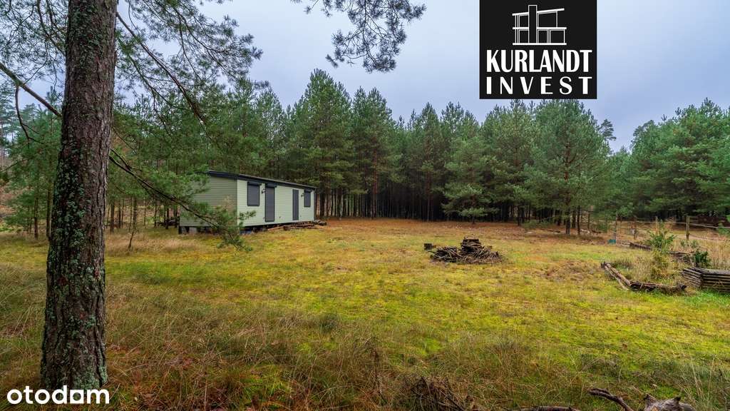 Dom letniskowy z prywatnym lasem Bory Tucholskie - Pełny obrazek: 4/12