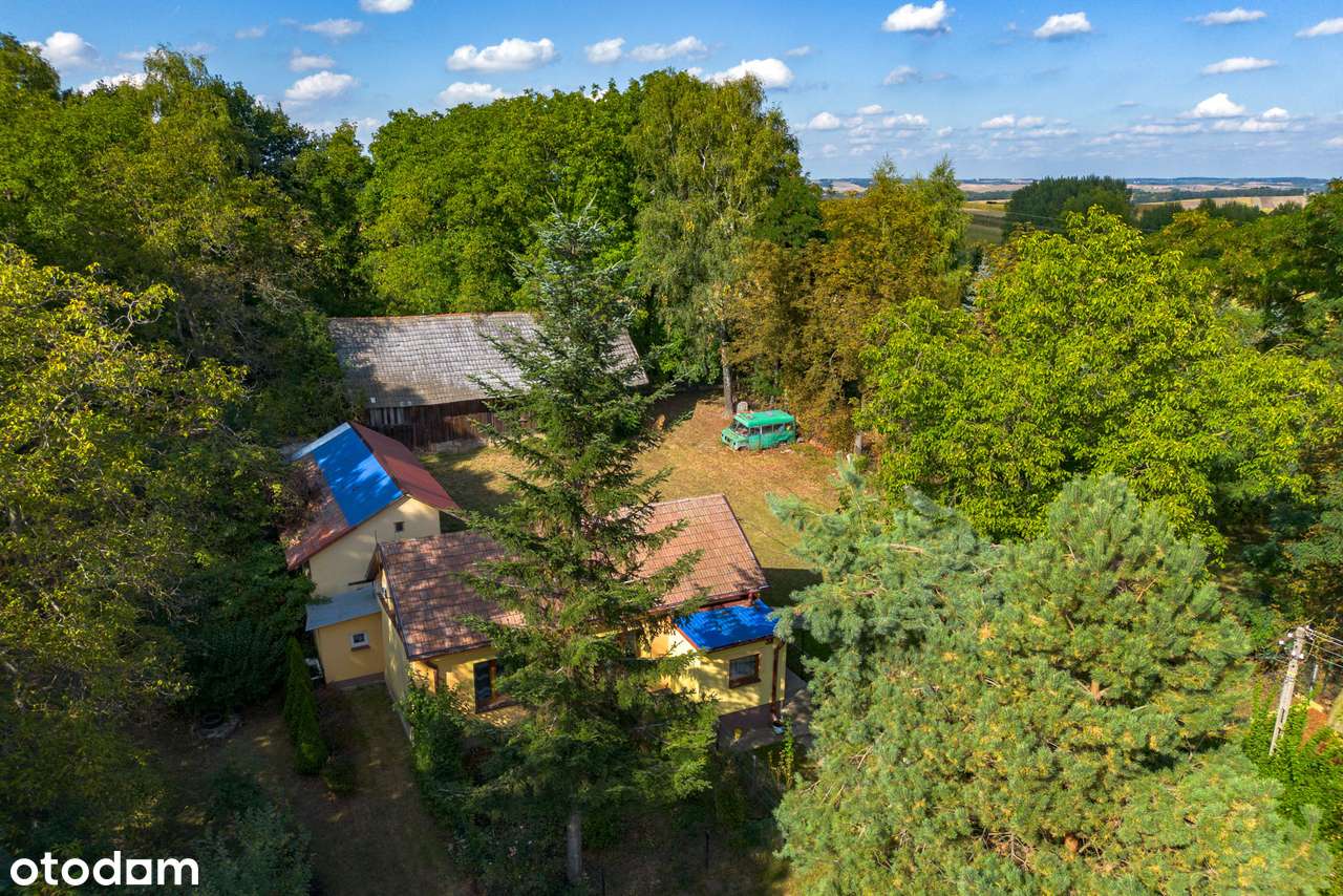 3M| DOM_osobna kuchnia_blisko lasu_stodoła| TYLKO U NAS!-14