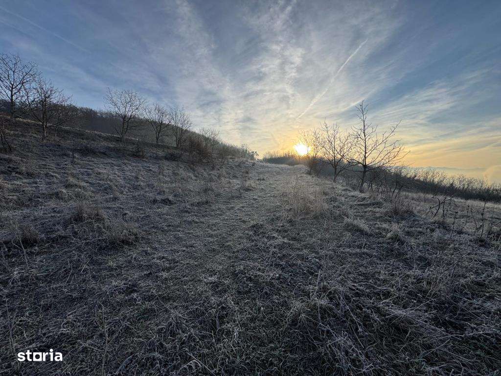 Teren de vânzare în Gusterița, cu acces asfaltat-5